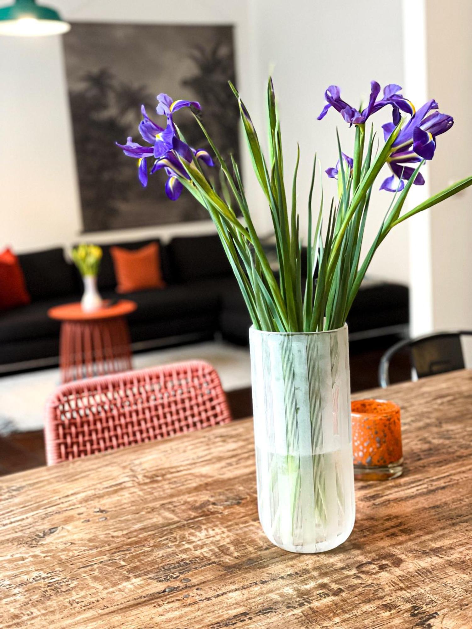 Apartments "Am Rheinorange", Netflix & Prime Duisburg Bagian luar foto